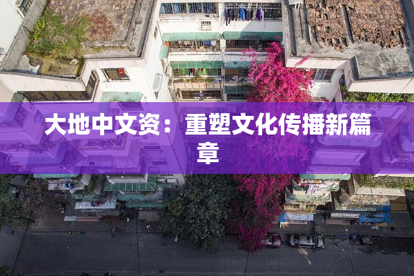 大地中文资：重塑文化传播新篇章