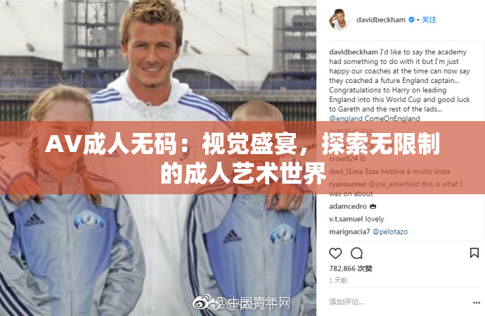 AV成人无码：视觉盛宴，探索无限制的成人艺术世界