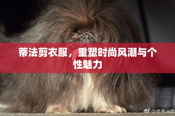 蒂法剪衣服，重塑时尚风潮与个性魅力