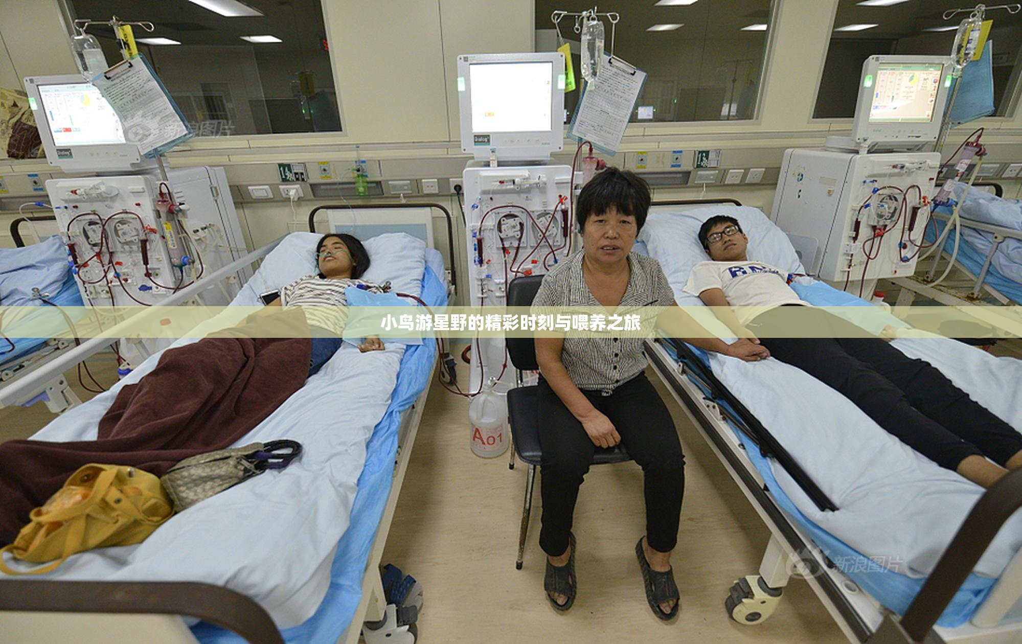 小鸟游星野的精彩时刻与喂养之旅