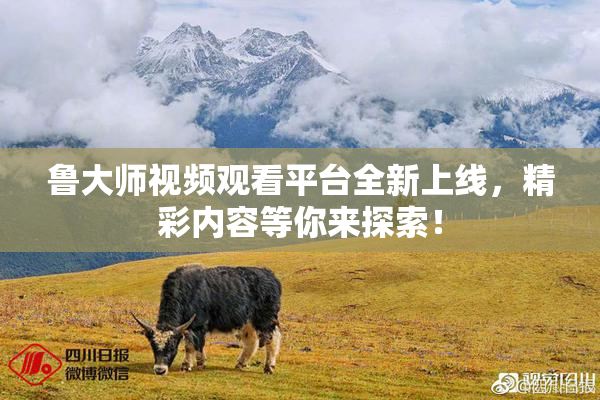 鲁大师视频观看平台全新上线，精彩内容等你来探索！