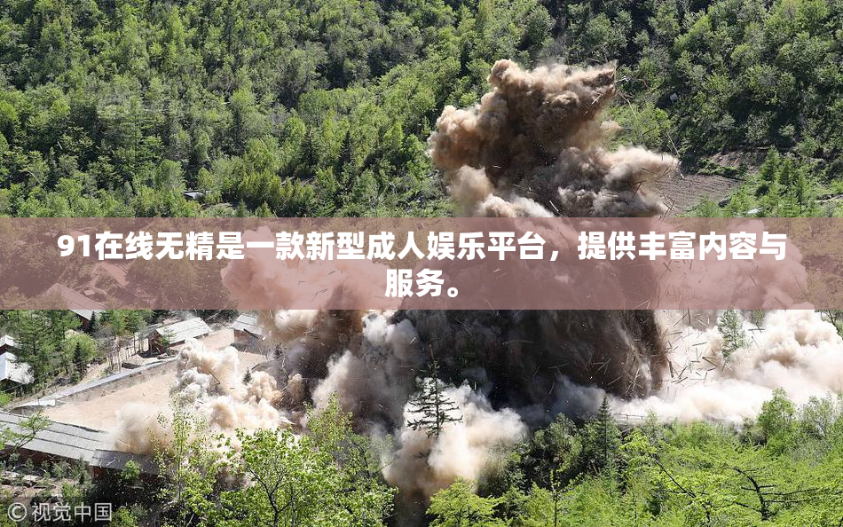 91在线无精是一款新型成人娱乐平台，提供丰富内容与服务。