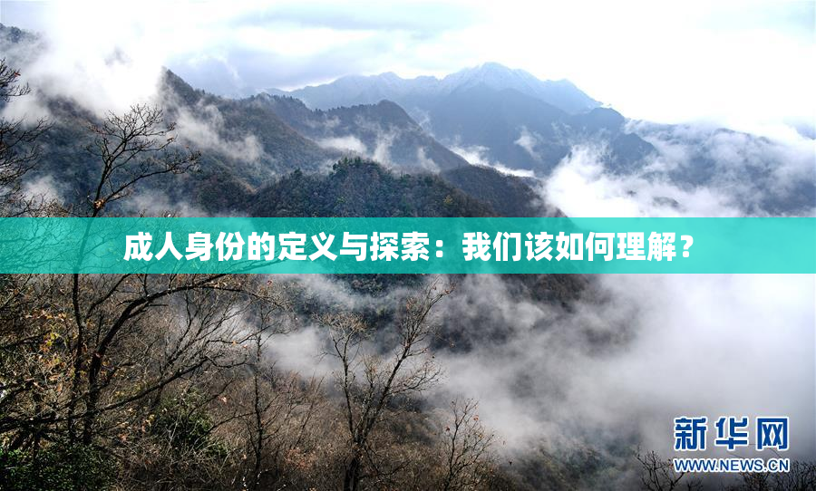 成人身份的定义与探索：我们该如何理解？
