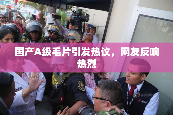 国产A级毛片引发热议，网友反响热烈