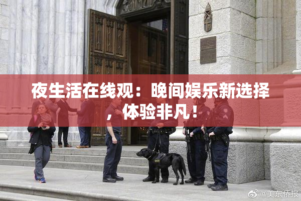 夜生活在线观：晚间娱乐新选择，体验非凡！