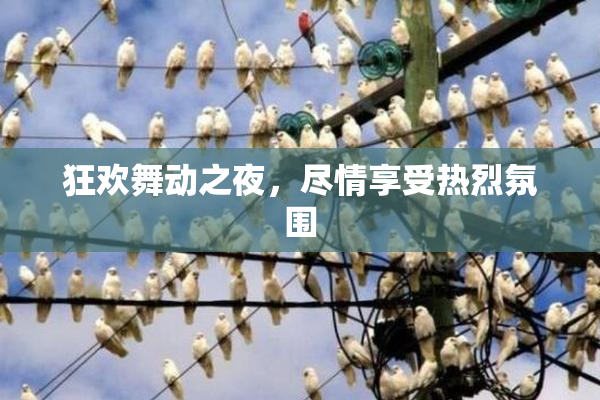 狂欢舞动之夜，尽情享受热烈氛围