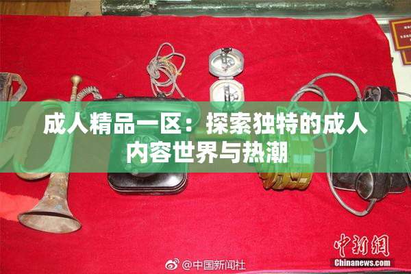 成人精品一区：探索独特的成人内容世界与热潮