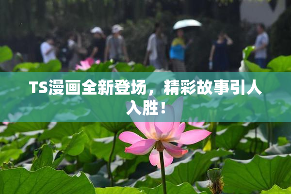 TS漫画全新登场，精彩故事引人入胜！