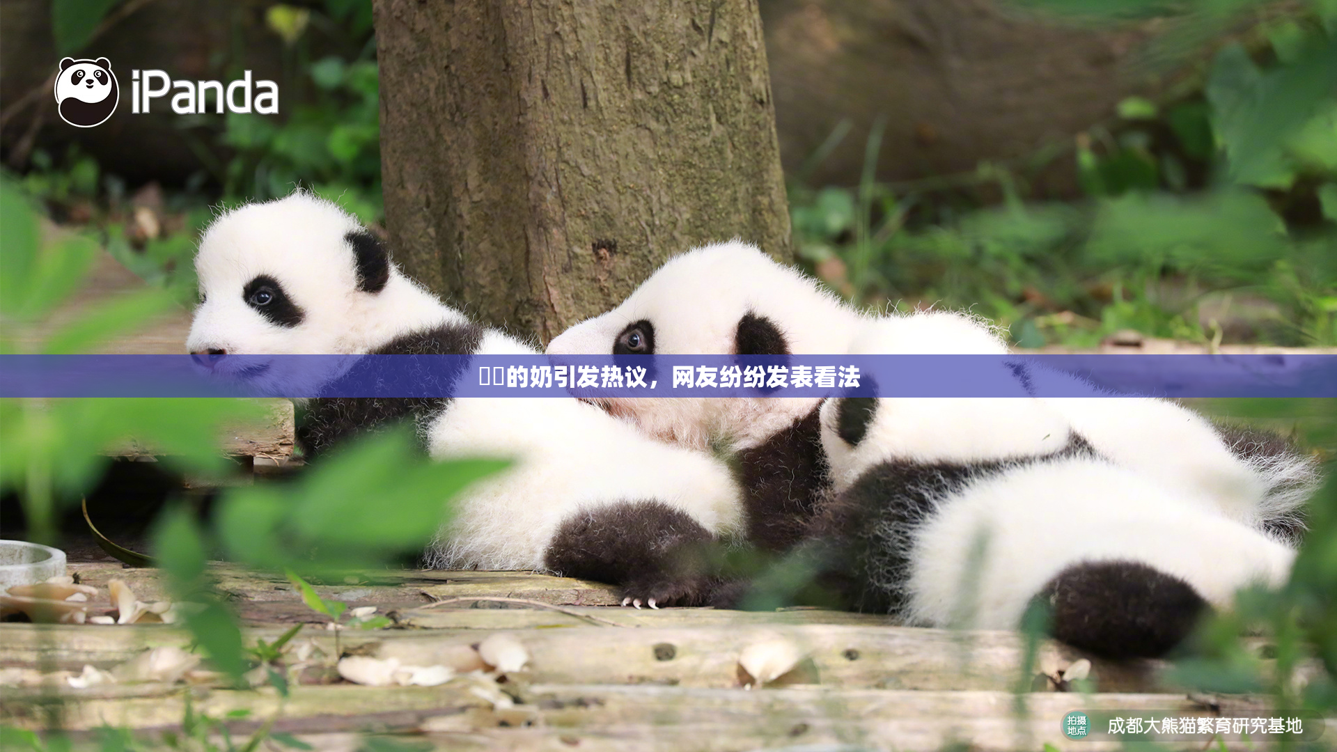 妺妺的奶引发热议，网友纷纷发表看法