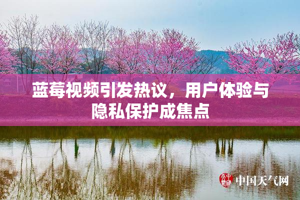 蓝莓视频引发热议，用户体验与隐私保护成焦点