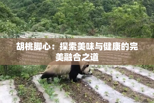 胡桃脚心：探索美味与健康的完美融合之道