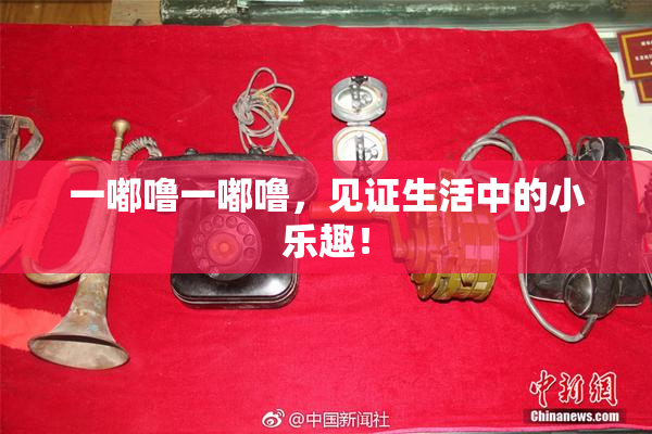 一嘟噜一嘟噜，见证生活中的小乐趣！