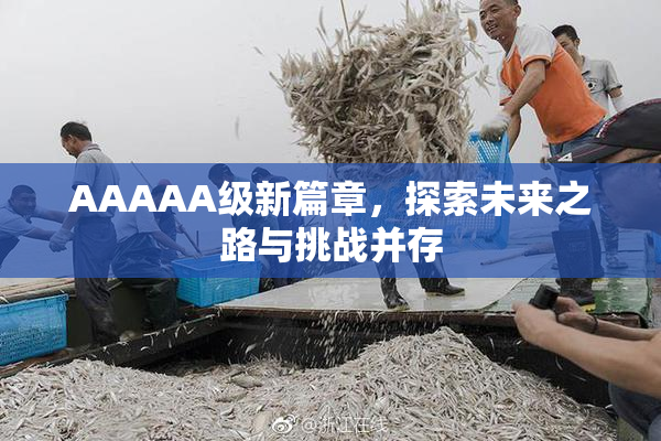 AAAAA级新篇章，探索未来之路与挑战并存