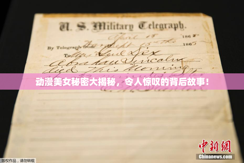 动漫美女秘密大揭秘，令人惊叹的背后故事！
