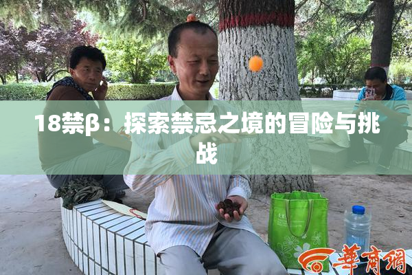 18禁β：探索禁忌之境的冒险与挑战