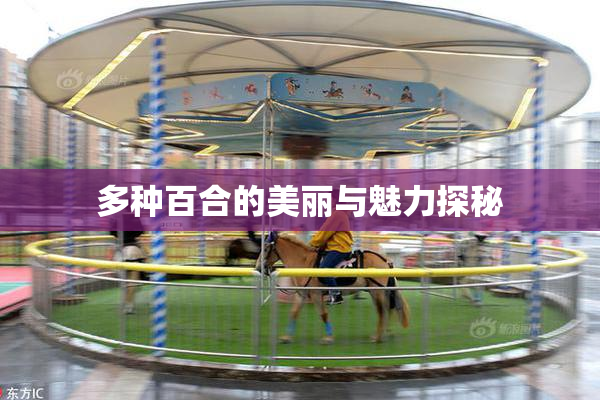 多种百合的美丽与魅力探秘