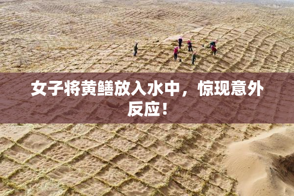 女子将黄鳝放入水中，惊现意外反应！