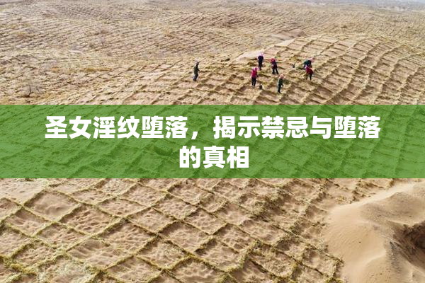 圣女淫纹堕落，揭示禁忌与堕落的真相