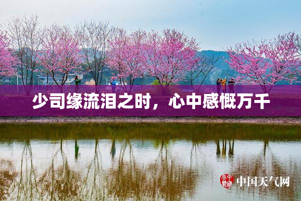 少司缘流泪之时，心中感慨万千