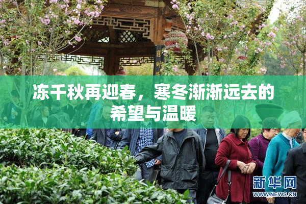 冻千秋再迎春，寒冬渐渐远去的希望与温暖