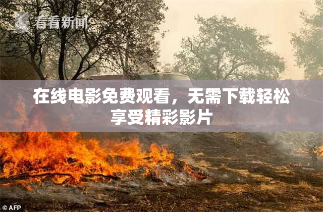 在线电影免费观看，无需下载轻松享受精彩影片