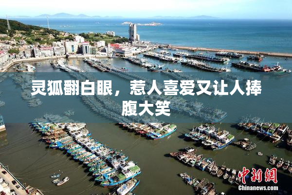 灵狐翻白眼，惹人喜爱又让人捧腹大笑