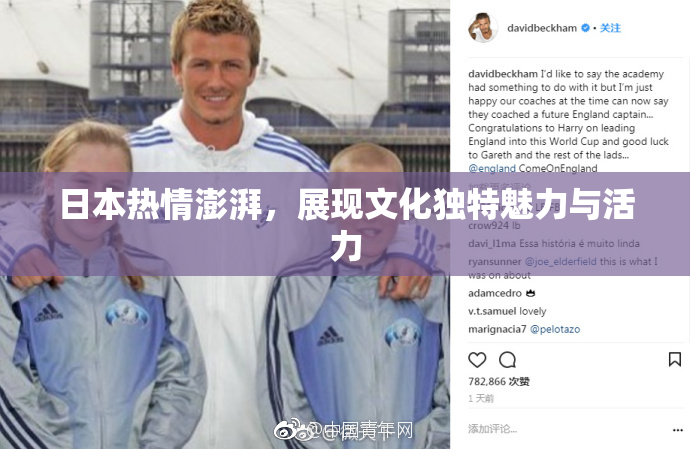 日本热情澎湃，展现文化独特魅力与活力