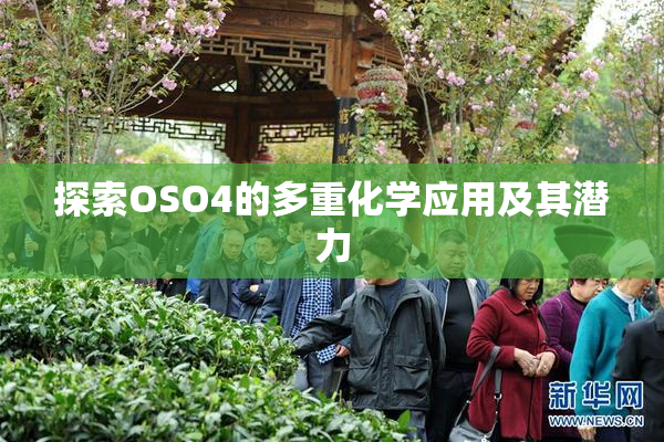 探索OSO4的多重化学应用及其潜力