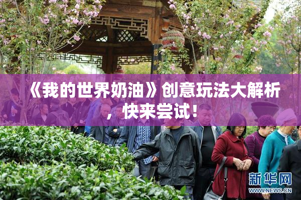 《我的世界奶油》创意玩法大解析，快来尝试！