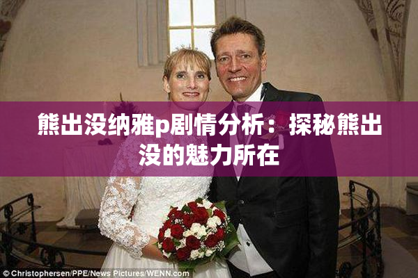 熊出没纳雅p剧情分析：探秘熊出没的魅力所在