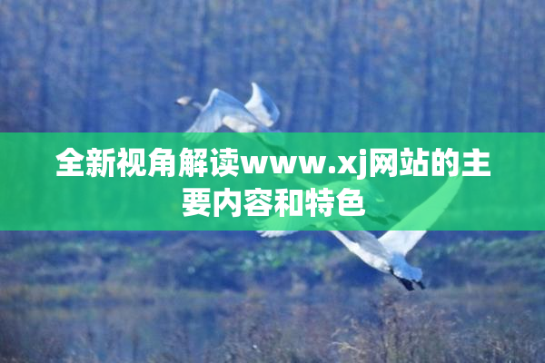 全新视角解读www.xj网站的主要内容和特色