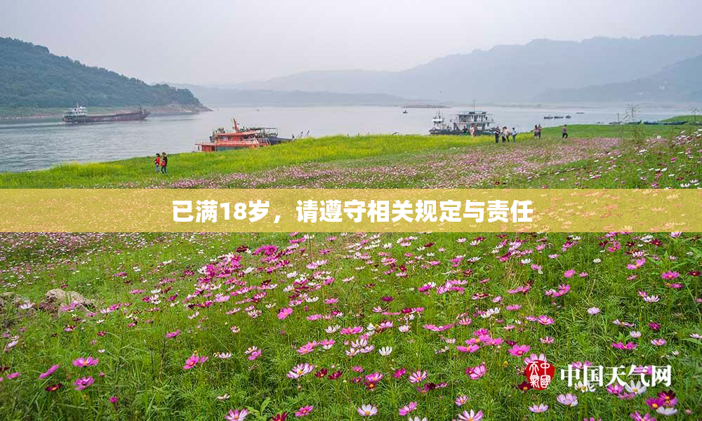 已满18岁，请遵守相关规定与责任