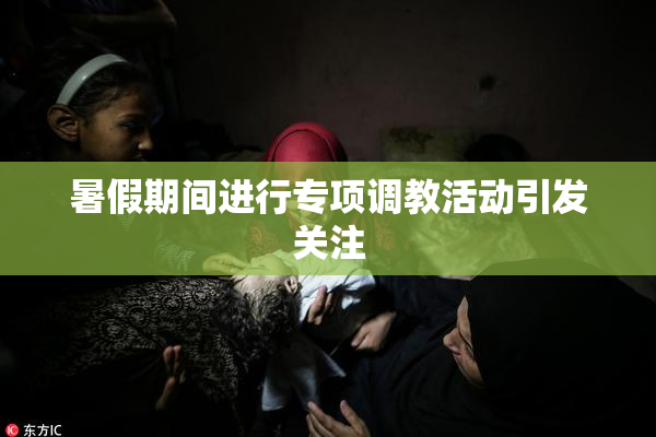 暑假期间进行专项调教活动引发关注