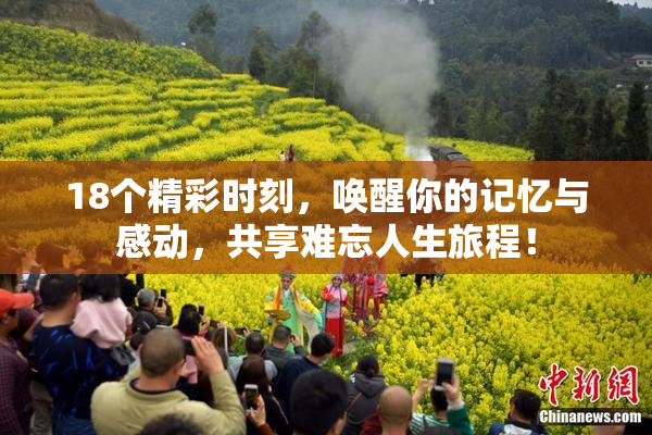 18个精彩时刻，唤醒你的记忆与感动，共享难忘人生旅程！