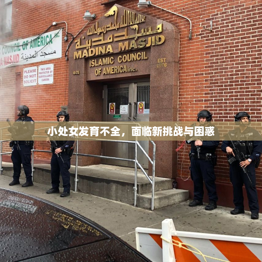 小处女发育不全，面临新挑战与困惑