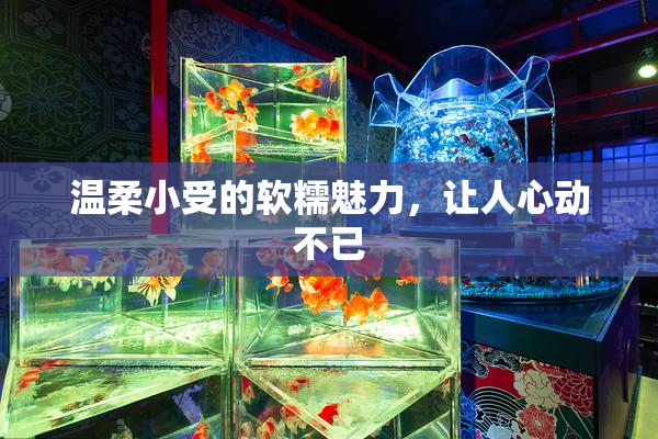 温柔小受的软糯魅力，让人心动不已
