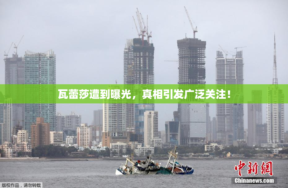 瓦蕾莎遭到曝光，真相引发广泛关注！