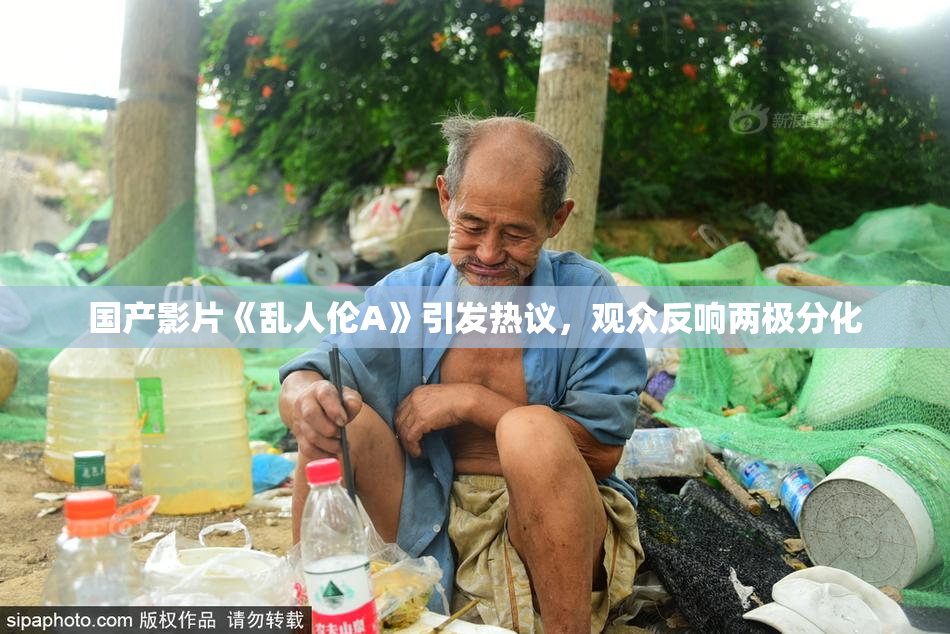 国产影片《乱人伦A》引发热议，观众反响两极分化