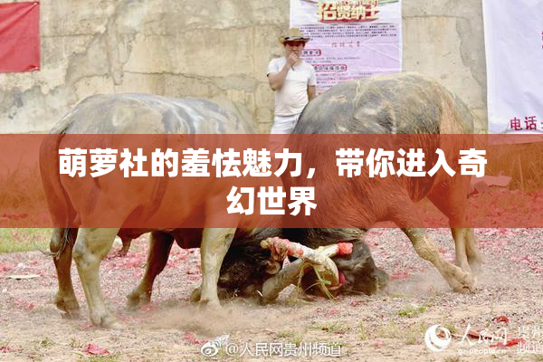 萌萝社的羞怯魅力，带你进入奇幻世界