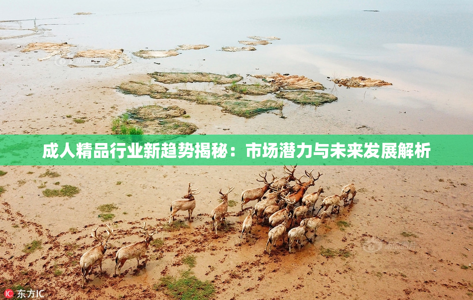 成人精品行业新趋势揭秘：市场潜力与未来发展解析