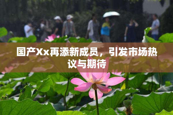 国产Xx再添新成员，引发市场热议与期待