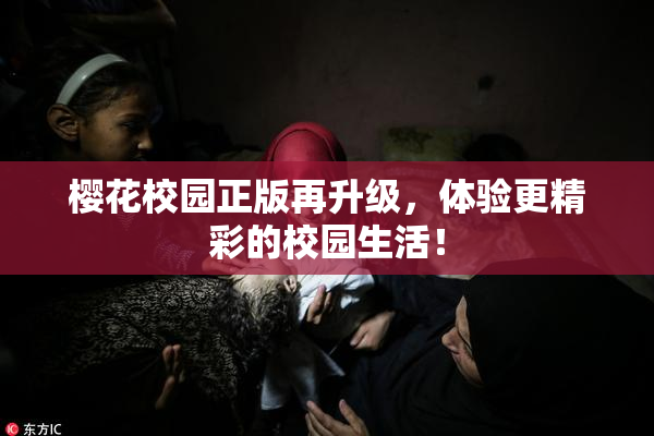 樱花校园正版再升级，体验更精彩的校园生活！