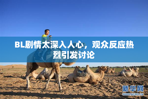 BL剧情太深入人心，观众反应热烈引发讨论
