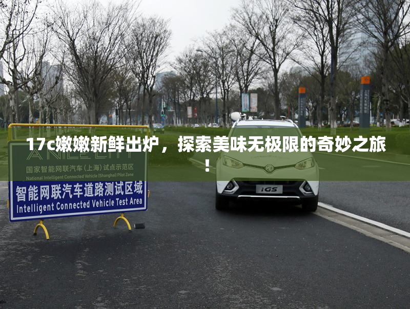 17c嫩嫩新鲜出炉，探索美味无极限的奇妙之旅！