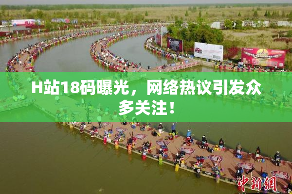 H站18码曝光，网络热议引发众多关注！