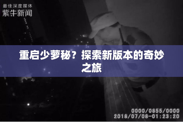 重启少萝秘？探索新版本的奇妙之旅