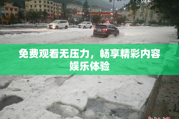 免费观看无压力，畅享精彩内容娱乐体验