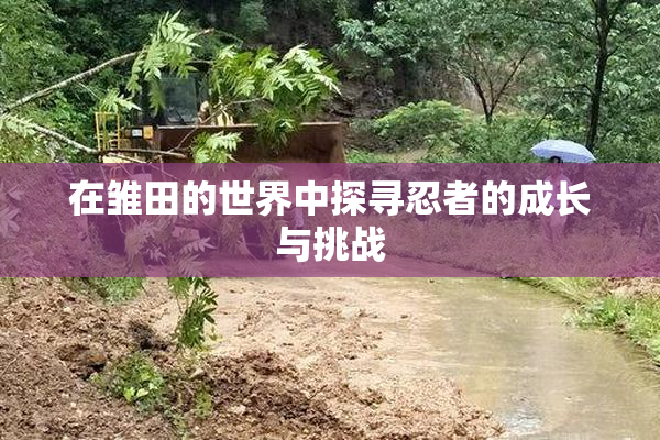 在雏田的世界中探寻忍者的成长与挑战