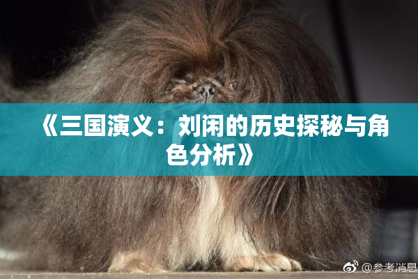 《三国演义：刘闲的历史探秘与角色分析》