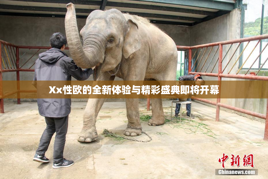 Xx性欧的全新体验与精彩盛典即将开幕